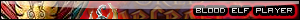 Blood Elf Player