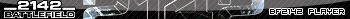 BF2142 Player