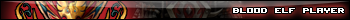 Blood Elf Player