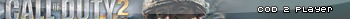 Call of Duty 2