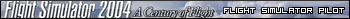 Flight Simulator 2004