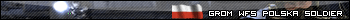 GROM WFS POLSKA Soldier (a)