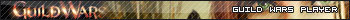 guild wars