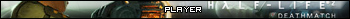 Half Life 2: Deathmatch