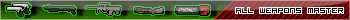 All Weapons Master (Soldat)