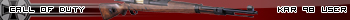 Kar98k User