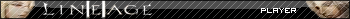 Lineage II Player