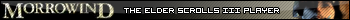 The Elder Scrolls III Morrowind Player
