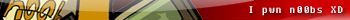 i pwn n00bs