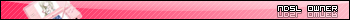 ndsl_owner