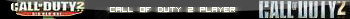 Call of duty 2 player