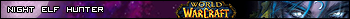 WoW Night Elf Hunter 1