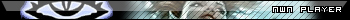 Neverwinter Nights Player