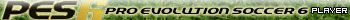 Pro Evolution Soccer 6