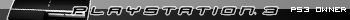PS3 owner