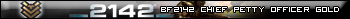 Battlefield 2142 Chief Petty Officer Gold