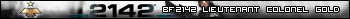 Battlefield 2142 Lieutenant Colonel Gold