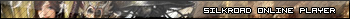 Silkroad Online Player