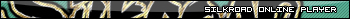 Silkroad Online Player