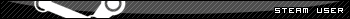 Steam user