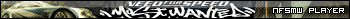 Need For Speed Most Wanted