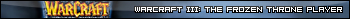 Warcraft III: The Frozen Throne Player