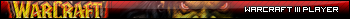 Warcraft III Player (Orc)
