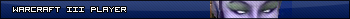 Warcraft III Player