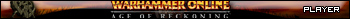 Warhammer Online: Age of Reckoning