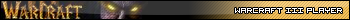 WarCraft III Player