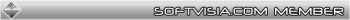 SoftVisia.com member
