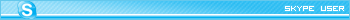 Skype User
