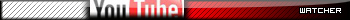 Youtube Watcher
