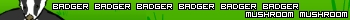 bagder