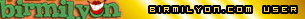 birmilyon.com