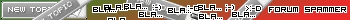 Forum spammer