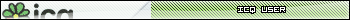 icq user