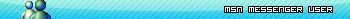 MSN Messenger User