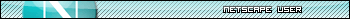 Netscape User