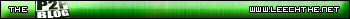 LeechThe.net