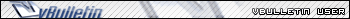 vBulletin User