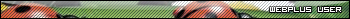 webplus_user