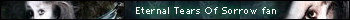 Eternal Tears Of Sorrow fan