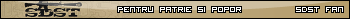 SDST