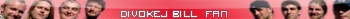 divokej bill