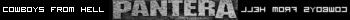 pantera user bar