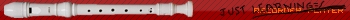 recorder_learning