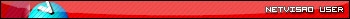 Netvisao