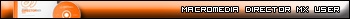 Macromedia Director MX