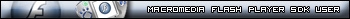 Macromedia Flash Player SDK